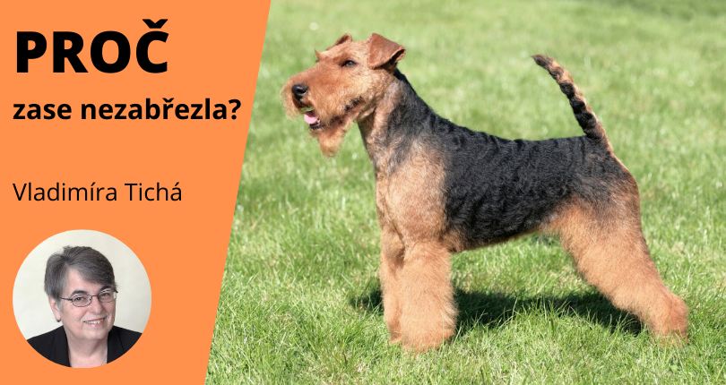 fena nezabřezla